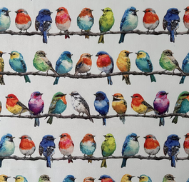 Oiseaux