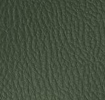 Simili cuir vert